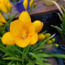 잘커농장 이미지