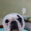 행복한손쟁이 이미지