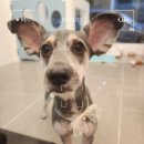 송내동3 이미지