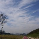 갑천우안도로 이미지