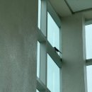 연우민박 | 종강의 달