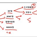안지향 이미지