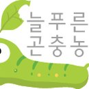 기계면사무소 이미지