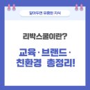 리박스쿨이란? 교육·브랜드·친환경 프로그램까지 총정리!