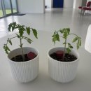 바르미나치과의원 | 생명력에 대한 믿음, 치유의 근본