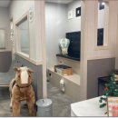 네일박스 이미지