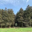 대성유니드아파트 이미지