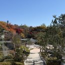 성창사 | 수원 봉녕사 단풍 실시간, 가을 가볼만한 곳 추천