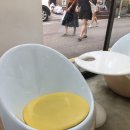 에그마카슈 이미지