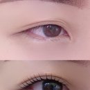 아이엘래쉬