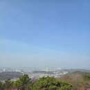 가현산 헬기장 이미지