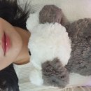 봉천역 왁싱 러블리아뷰티 - 브라질리언왁싱 후기 좋은 분위기속에 만족했던 토탈뷰티샵