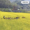 여자만마을 네이버블로그