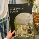 둔산중로-11 | [ෆW.03-2] 대전 밝은 웨딩홀 메리비아포레 계약취소 후기 (2026년 11월 견적공유)