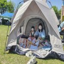 서탄초등학교 이미지