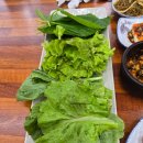 쌈장 (SSAMJANG) | 갔지!&#34; 대전 복수동 찐맛집 &#39;제주유기농쌈밥촌&#39; 2회차 방문 후기 (12종 쌈채소 무한리필, 주차 꿀팁 포함)