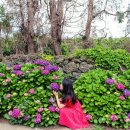 안성리-6 이미지