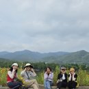 단우 Daum카페
