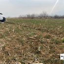 순영농장 이미지