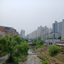 수지 집구경 후기: 2021년 불장 어게인? 실거래가보다 치열했던 현장 분위기