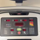 착한정비카써비스 남외점 | 가족여행 5일차(하와이 액티비티 추천, 샌드바 후기, 샥스코브 스노클링, 지오반니 새우트럭, 야드 하우스)