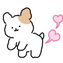 분당밝은아이동물병원 이미지