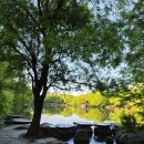 민족의 영산(靈山) 백두산(白頭山)에 가다 / 3. 이도백하(二道白河) 중국 비오리공원 산책 이미지