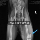 블루동물종합병원 이미지