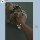 멍프리스쿨 이미지