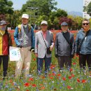 부산소식 울산국가정원 작약축제 이미지