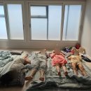 태양민박앞 이미지