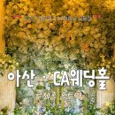 [천안아산 웨딩홀] CA웨딩홀 루체홀 투어 후기! 밝고 화사한 하우스웨딩 감성 실물 깡패 (견적공유)