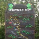 백야자연휴양림 오토캠핑장 이미지