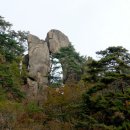 김천신용협동조합 이미지