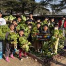 쌍백초등학교 이미지