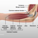내외리버스퀘어 이미지