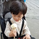 1929 | 아이와 가볼만한 곳♡ 외도 보타니아♡ 장승도 유람선 탑승 후기