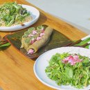 산야초국수