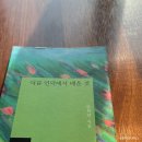 성산교회 앞 버스정류장 | 직장인 뚜벅이도 떠나요 제주도 | 명절을 알차게 | 4박 5일 세번째