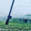 스피드워시24빨래방 이미지