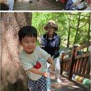 창원 자연숲 어린이집 | 아이에게 딱 맞는 창원시어린이집추천, 실패없이 선택하려면 꼭 챙겨야 할 포인트