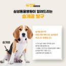 양구동물병원 이미지