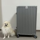 픽토그로우 이미지