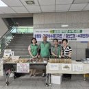 보리식혜