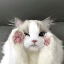 네일공주 이미지