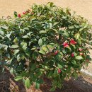 우체국길 이미지