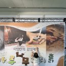 용인 아기랑ㅣ이영란의 감성체험 가루나무모래흙 2번째 방문 후기+ 방문 꿀팁! (아기랑 추천 체험)