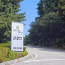 포천추어탕 | 포천힐스cc 맛집 시원한 콩국수, 함지박 추어탕 끝내주네요