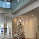 솔모로골프장 | 솔모로 cc 겨울 라운딩 후기