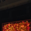 올리인터내셔널